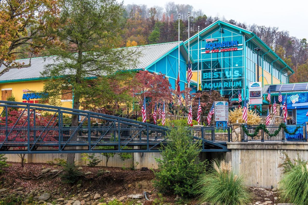 Apartamento Bear Cub Retreat Gatlinburg Exterior foto